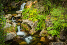 Beautiful Water Stream In Poço Da Cilha Waterfall, Manhouce, Sao Pedro Do Sul, Portugal. Long Exposure Smooth Effect. Mountain Forest Landscape.