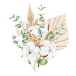 Cotton, eucalyptus and dried plants and flowers bouquet. Botanical illustration.