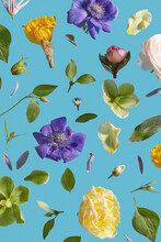Close Up Of Blooms In Botanical Photo Collage.