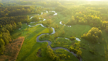 Wall Mural - beautiful spring morning over the forest and river - drone aerial view
