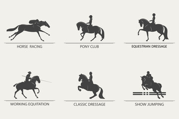set of icons on the theme of equestrian sports