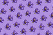 © Yaroslav Danylchenko/Stocksy - Minimal pattern with purple hellebore flower.