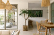 © Mihajlo Ckovric/Stocksy - Image of house plant in modern home