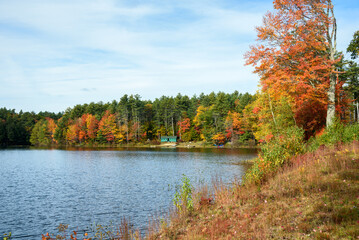 Wall Mural - Beautiful lake surrounded by a dense forest in autumn. A holiday cabin is visible among the trees along the shore of the lake.