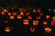 © Melanie DeFazio/Stocksy - Pumpkin carving
