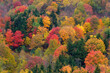 © Ron Mellott/Stocksy - October autumn fall colors landscape trees forested Blue Ridge Parkway