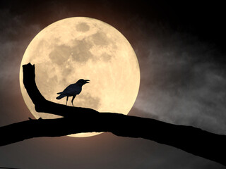 Wall Mural - Silhouette of a crow standing on a branch of a big tree at night with a full moon.
