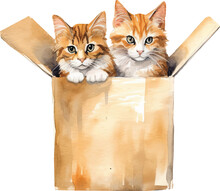 Cats In Box Watercolor Illustration