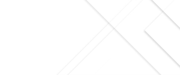 Wall Mural - vector abstract background with white lines and space geometric style, abstract white background wit