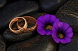 Wedding gold rings and violet flowers, on black stones. 