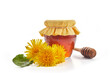 Honey or jam of dandelions in the jar with fresh flowers isolated on white