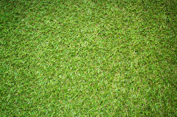 Canvas Print - grass texture for background