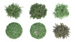 Top view of green shrubs tree on transparent background, 2d plant, 3d render illustration.