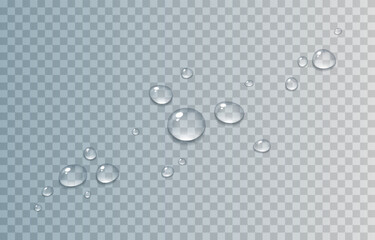 Wall Mural - Vector drops of water. Drops png. Drops on the surface, on the glass png. Drops after rain. Condensation on the surface, on the glass.