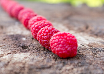 Canvas Print - raspberries..