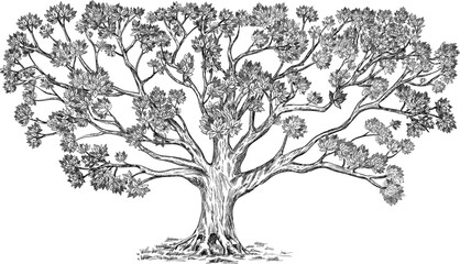 Wall Mural - Beautiful family tree with many elements. Large detailed vector illustration isolated on white. Usage: genus tree, background, design.