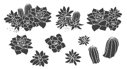 Cacti and succulents. Set of vector illustrations.