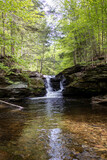 Fototapeta  - Portrait of Tranquility: A Vertical Shot of a Petite Pennsylvania Waterfall