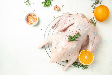 Wall Mural - raw duck on a light background, Culinary cooking. banner, menu, recipe place for text, top view