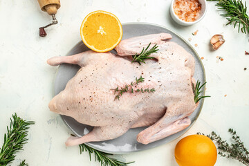 Wall Mural - raw duck on a light background, Culinary cooking. banner, menu, recipe place for text, top view