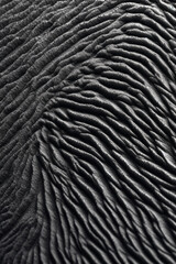 Poster - A close-up photograph of a fingerprint in high resolution, showcasing the intricate ridges and unique patterns,  Generative AI technology.