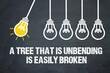 A tree that is unbending, is easily broken	
