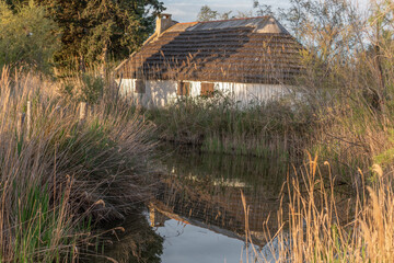 Thatched hut Gardian's hut in the marshes at sunset.