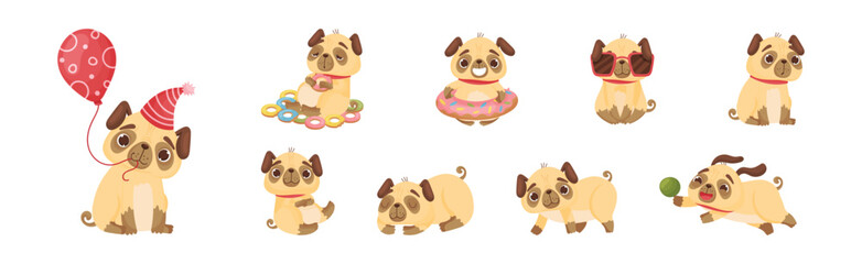 Wall Mural - Cute Pug Dog Puppy Engaged in Different Activity Vector Set
