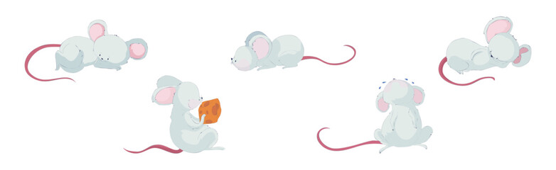 Wall Mural - funny white mouse character with long pink tail vector set