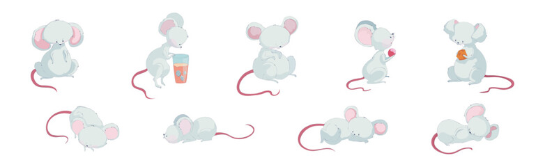 Wall Mural - funny white mouse character with long pink tail vector set