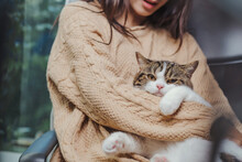 Asian Woman In Brown Sweater Holding Adorable White With Brown And Black Strip Cat In Her Arm, Cat In Human Hug Embrase Human Arm And Looking At Camera.