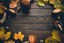 Boletus Mushrooms With Leaves