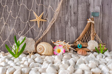 Marine Decoration. Decorative Sailboat, Seashell, Sea Urchin Shell, Decorated With A Fishing Net On The Pebbly Shore. Grey Wooden Background.