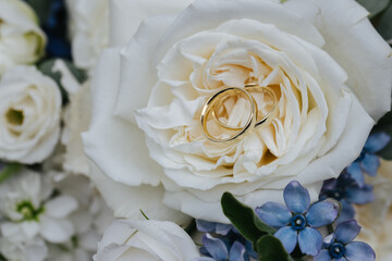 Wall Mural - Beautiful wedding rings close-up, macro photo