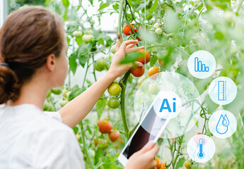 agricultural scientist woman using digital tablet and Ai technology in tomatoes greenhouse, examining vegetables with artificial intelligence.