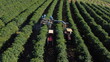 Machine harvesting coffee plantation
