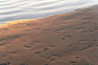 Footprints on sand beach at sunset