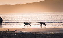 A Man And His Two Dogs Walking Along The Beach Silhouetted By The Setting Sun During The Golden Hour In Summer. 