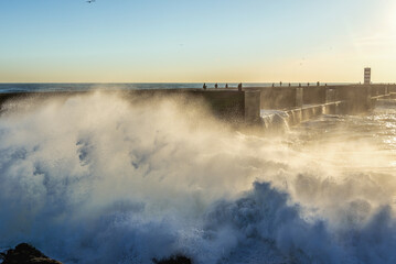 Wall Mural - Waves of Atlantic Ocean in Foz do Douro area of Porto city, Portugal