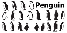 A Group Of Penguins Silhouette Vector Set.