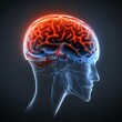 © SHOTPRIME STUDIO - blue red medical pain head anatomy x-ray headache medicine brain. Generative AI.