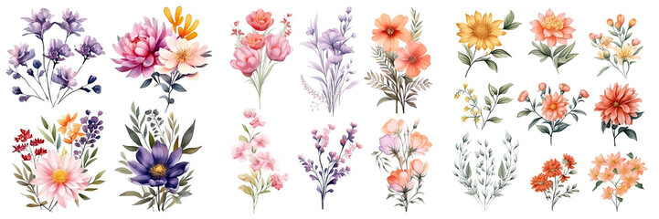 set of beautiful flower ,watercolor collection of hand drawn flowers , botanical plant illustration 