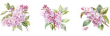 Fototapeta  - Watercolor pink lilac white Background ,transparent background, PNG , Generative AI