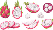 Vector Collection Of Dragon Fruit, Or Pitahaya, Or Pitahaya. Tropical Exotic Fruit Pitaya On A White Background, Whole, Half, Pieces And Balls. Isolated On White Background.