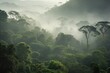 © Walid - Rainforest landscape with trees and fog - theme conservation, climate change and renewable energy