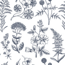 Hand Drawn Summer Background. Garden Flowering Plants Design In Sketch Style. Floral Seamless Pattern. Botanical Illustrations For Textile, Fabric, Packaging. Hibiscus, Sedum, Mallow, Primrose.