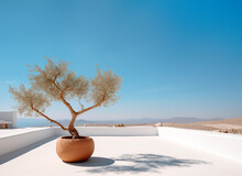 Olive Tree In Terra Cotta Clay Pot On White Terrace Under Clear Blue Sky With Beautiful Mountains View. Summer Vacation Conceptual Background. Created With Generative Ai