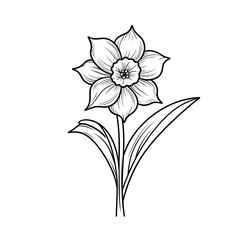 Wall Mural - Amazing and attractive image of daffodil AI-Generated