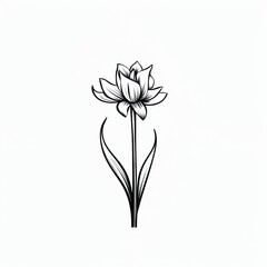 Wall Mural - Amazing and attractive image of daffodil AI-Generated