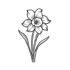 Wall Mural - Amazing and attractive image of daffodil AI-Generated